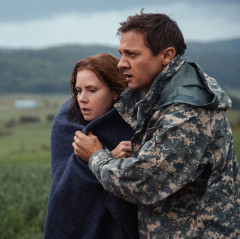 Amy Adams, Jeremy Renner