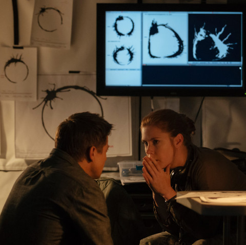 Jeremy Renner, Amy Adams