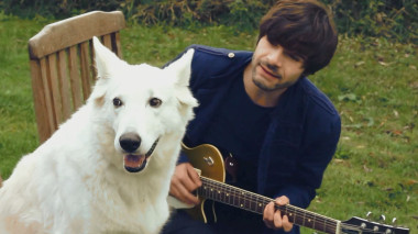 Bellende Hunde
