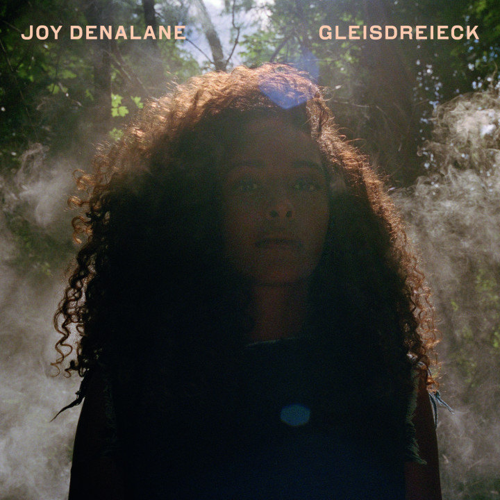 Albumcover Joy Denalane Gleisdreieck