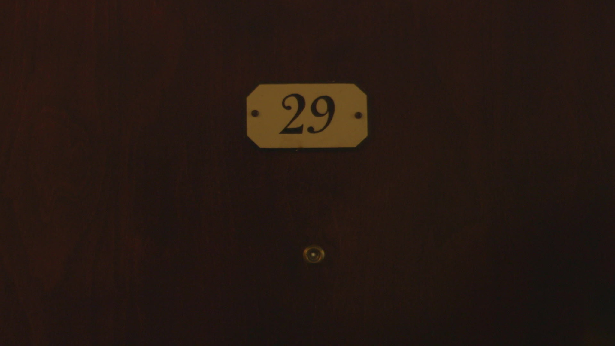 Jarvis Cocker & Chilly Gonzales - Room 29 (Teaser)