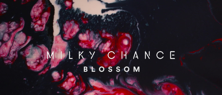 Blossom (Audio)