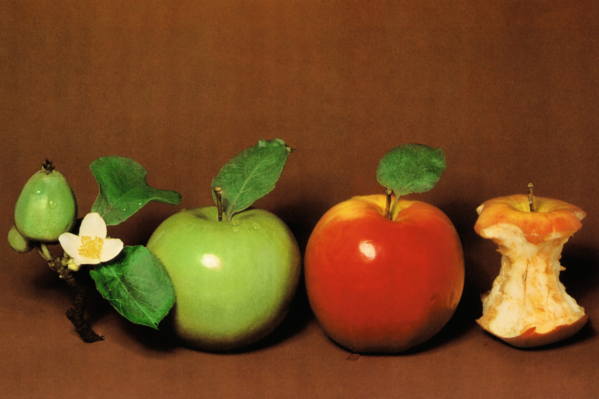 Vivaldi: The Essentials