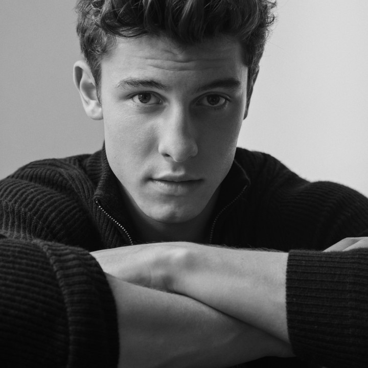 Shawn Mendes 2017 – BW