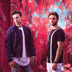 Zedd & Liam Payne 2017