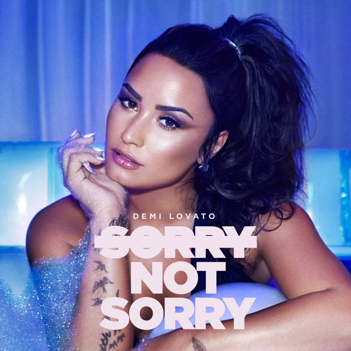 Demi Lovato sorry not sorry cover