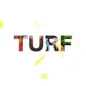 Turf