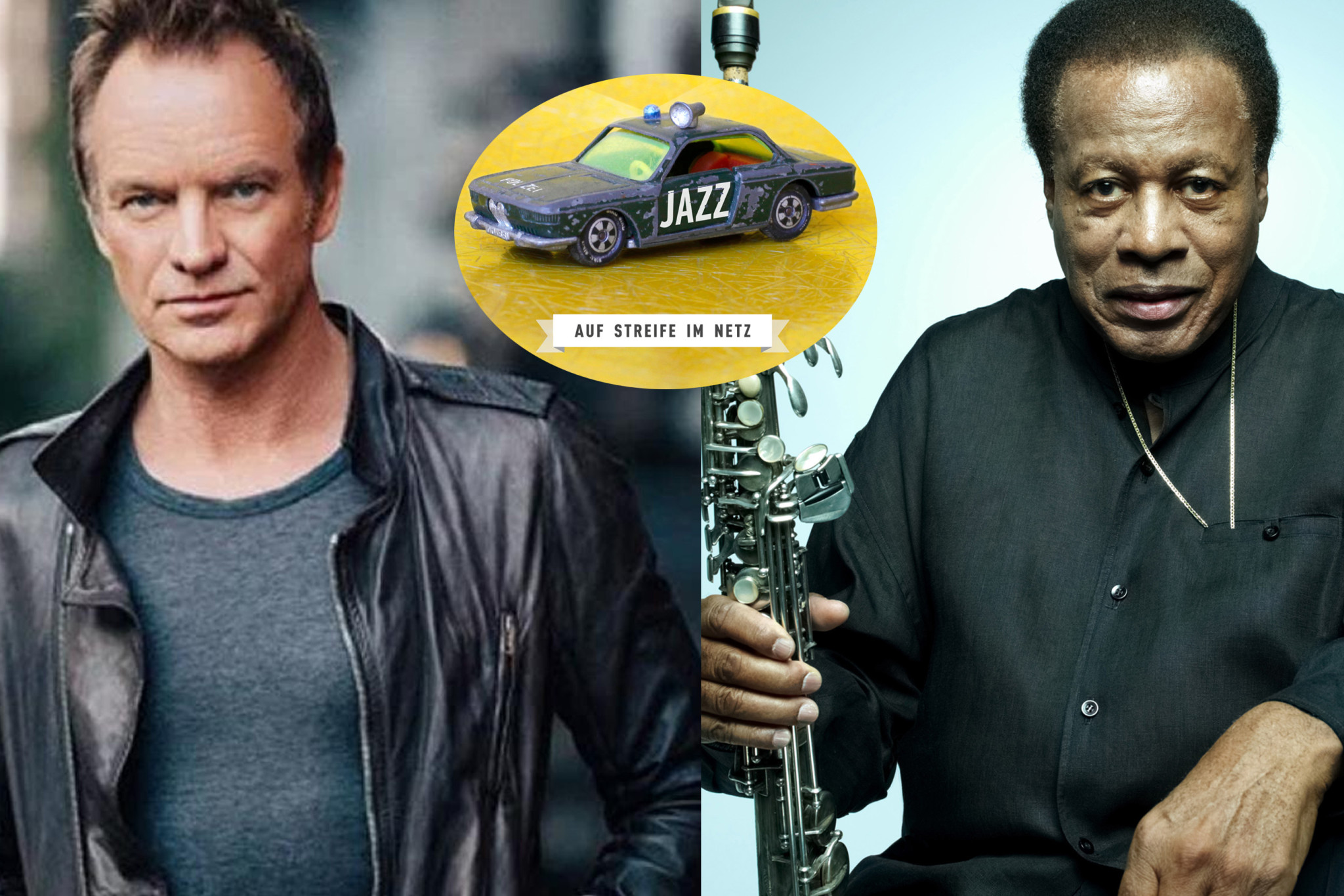 Auf Streife im Netz - Sting und Shorter