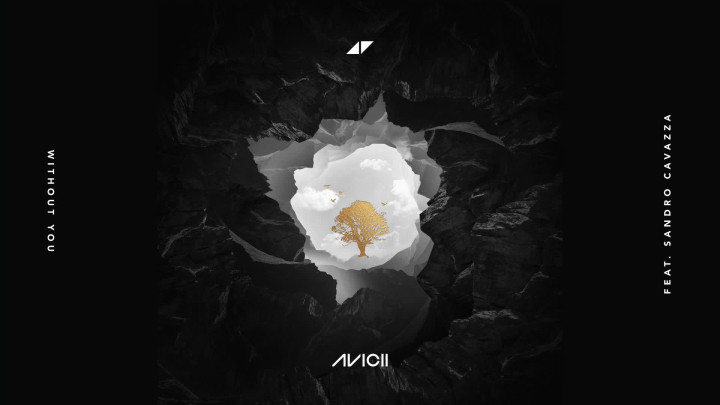 Without You feat. Sandro Cavazza