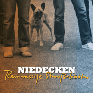 Niedecken Reinrassije Straßekööter