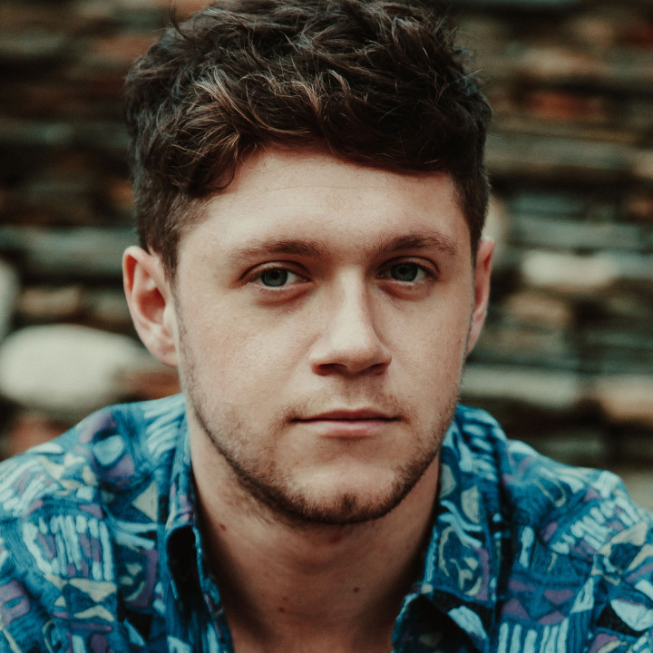 Niall Horan 2017 HD