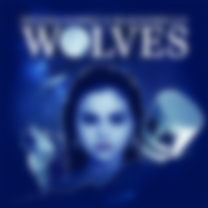 Selena Gomez Wolves Cover