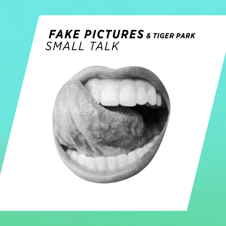 Fake Pictures - Small Talk