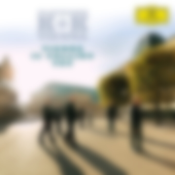 Vienna is calling you