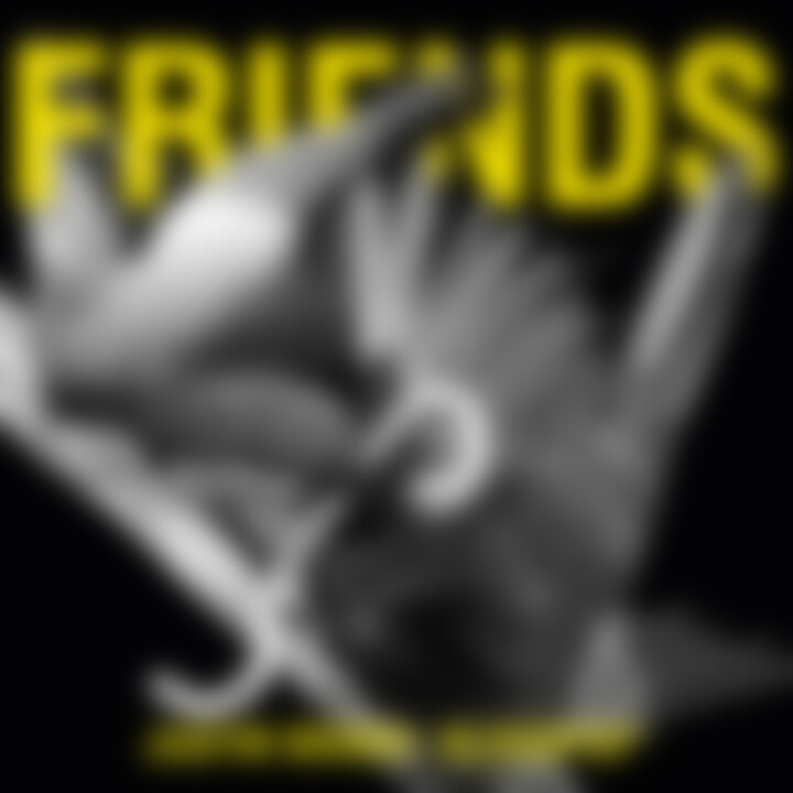 Friends (2-Track)