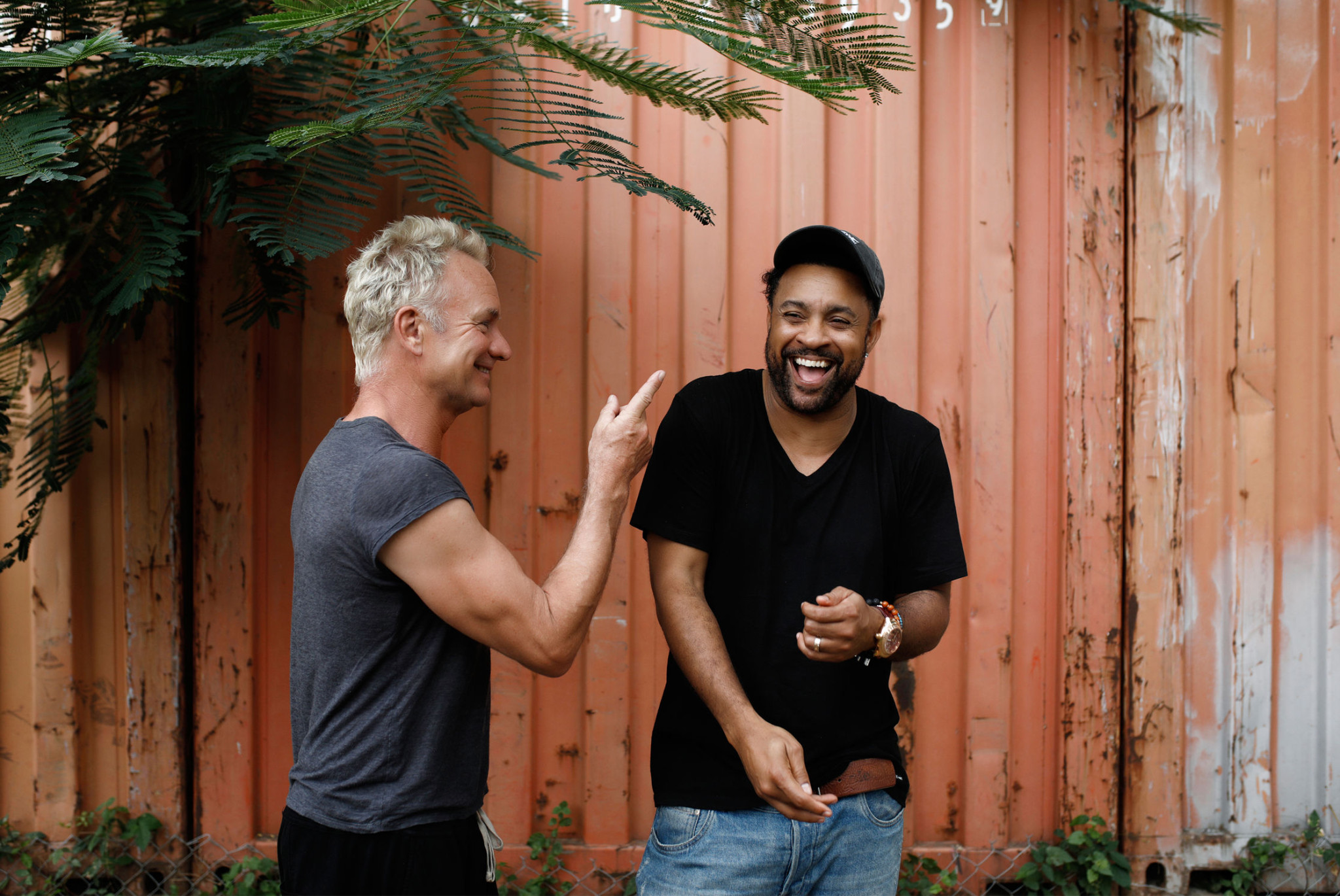 Sting und Shaggy