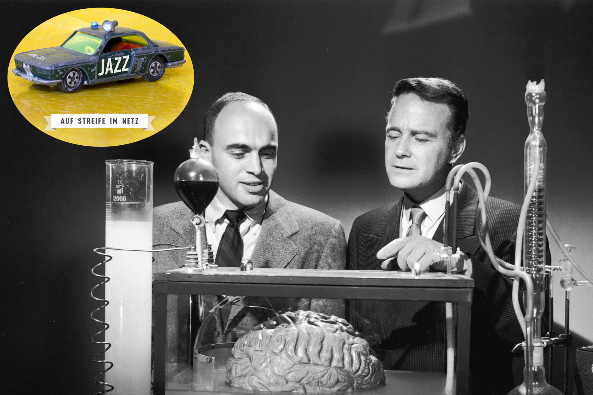 Auf Streife im Netz - Das Jazz-Gehirn