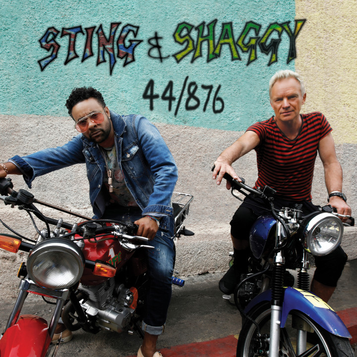 Cover Sting Shaggy 44 876