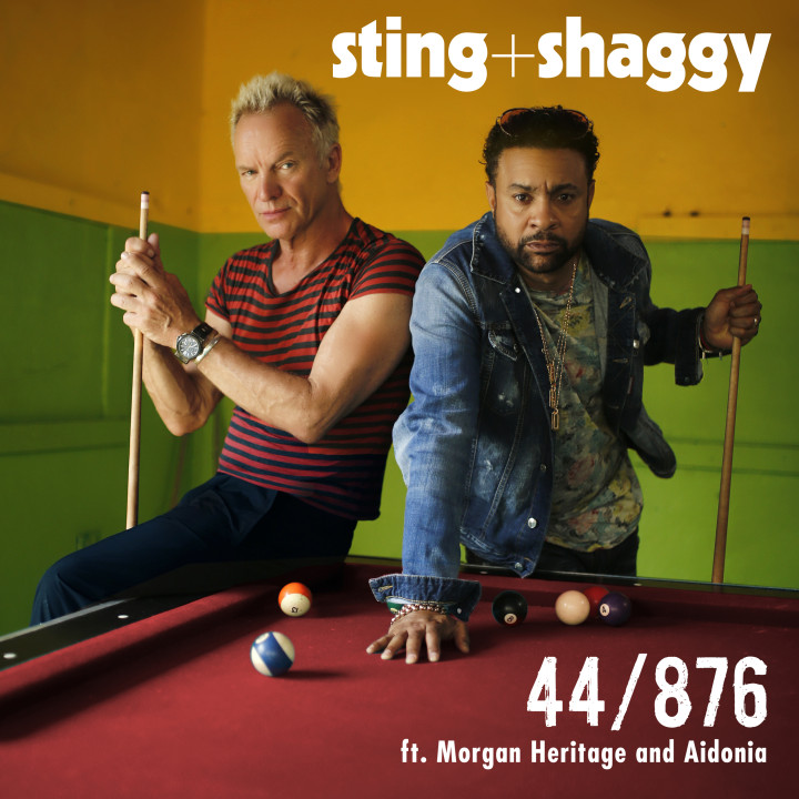 Sting Shaggy Single 44876