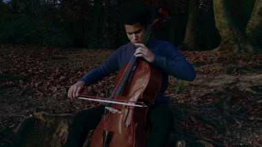 The Swan (Arr. Cello, Harp & Ensemble)