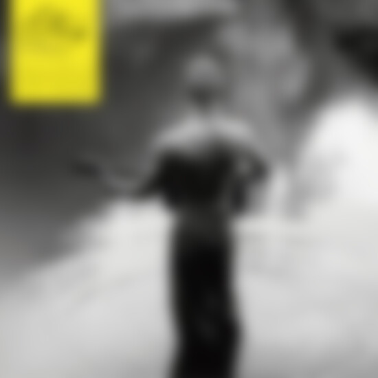 Sting | Musik | The Best Of 25 Years : Sting