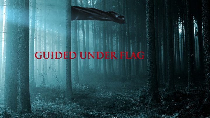 Guided Under Flag