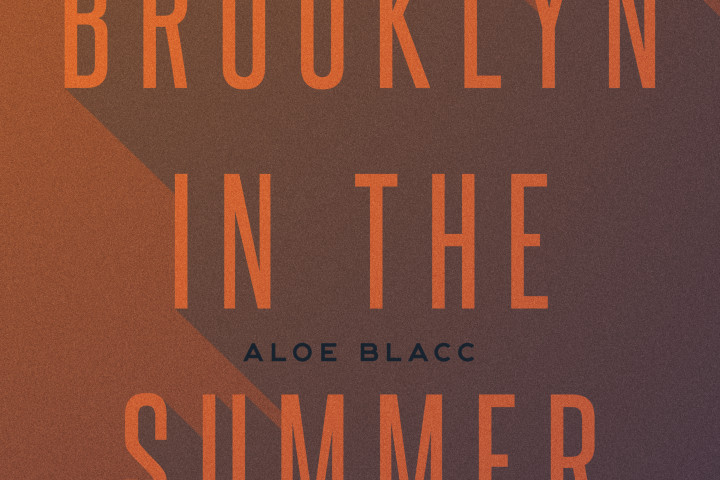 Aloe Blacc Brooklyn In the Summer 2018