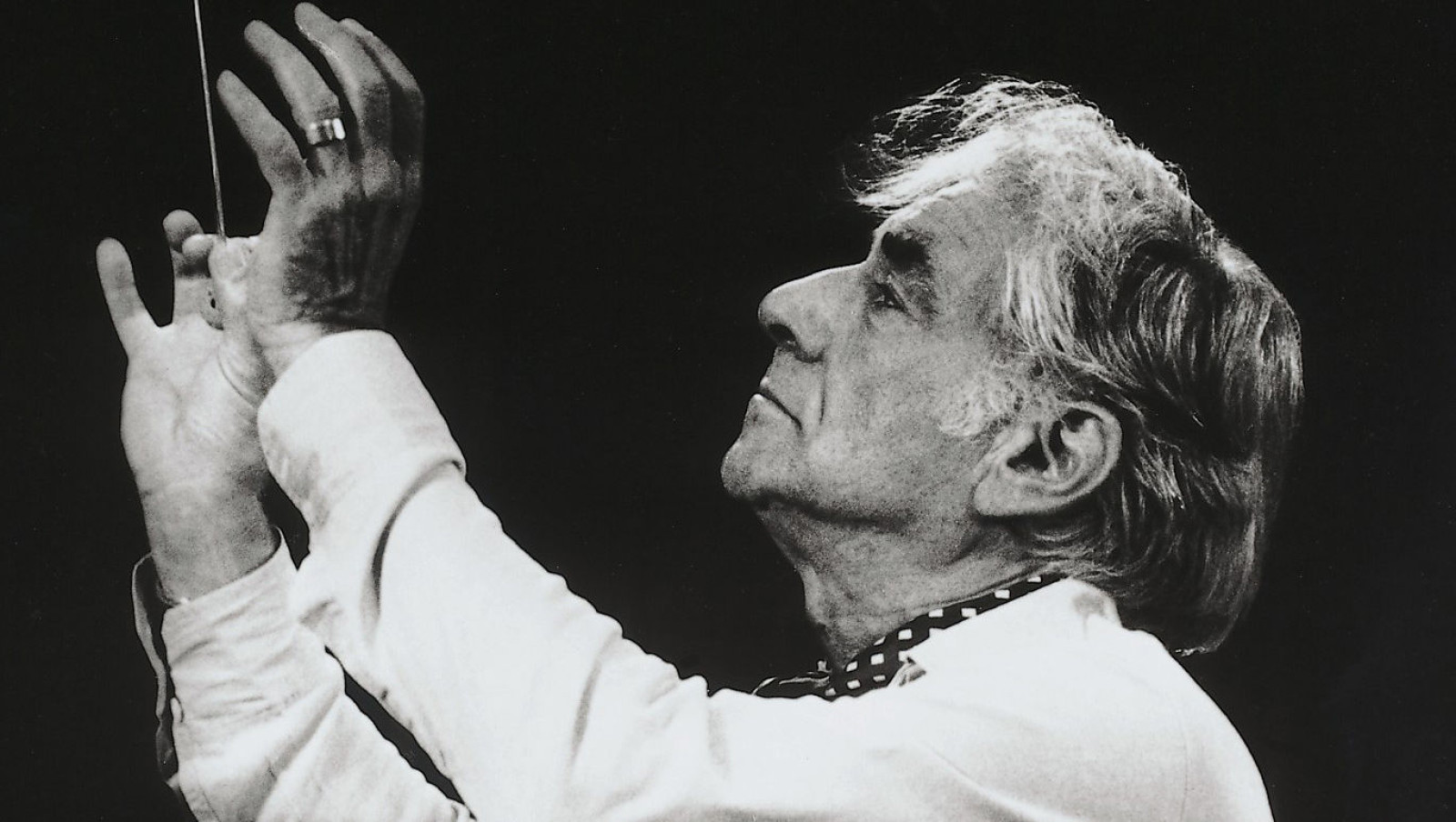 Leonard bernstein biography deutsche grammophon