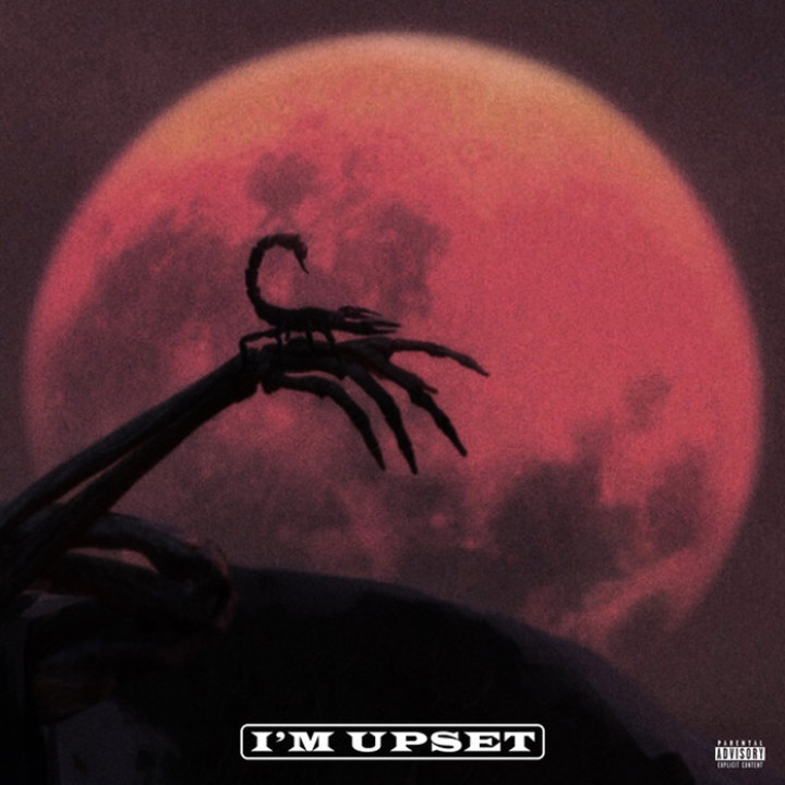 Drake - I'm Upset Single Cover