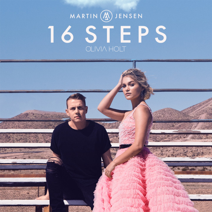 cover martin jensen 16 steps