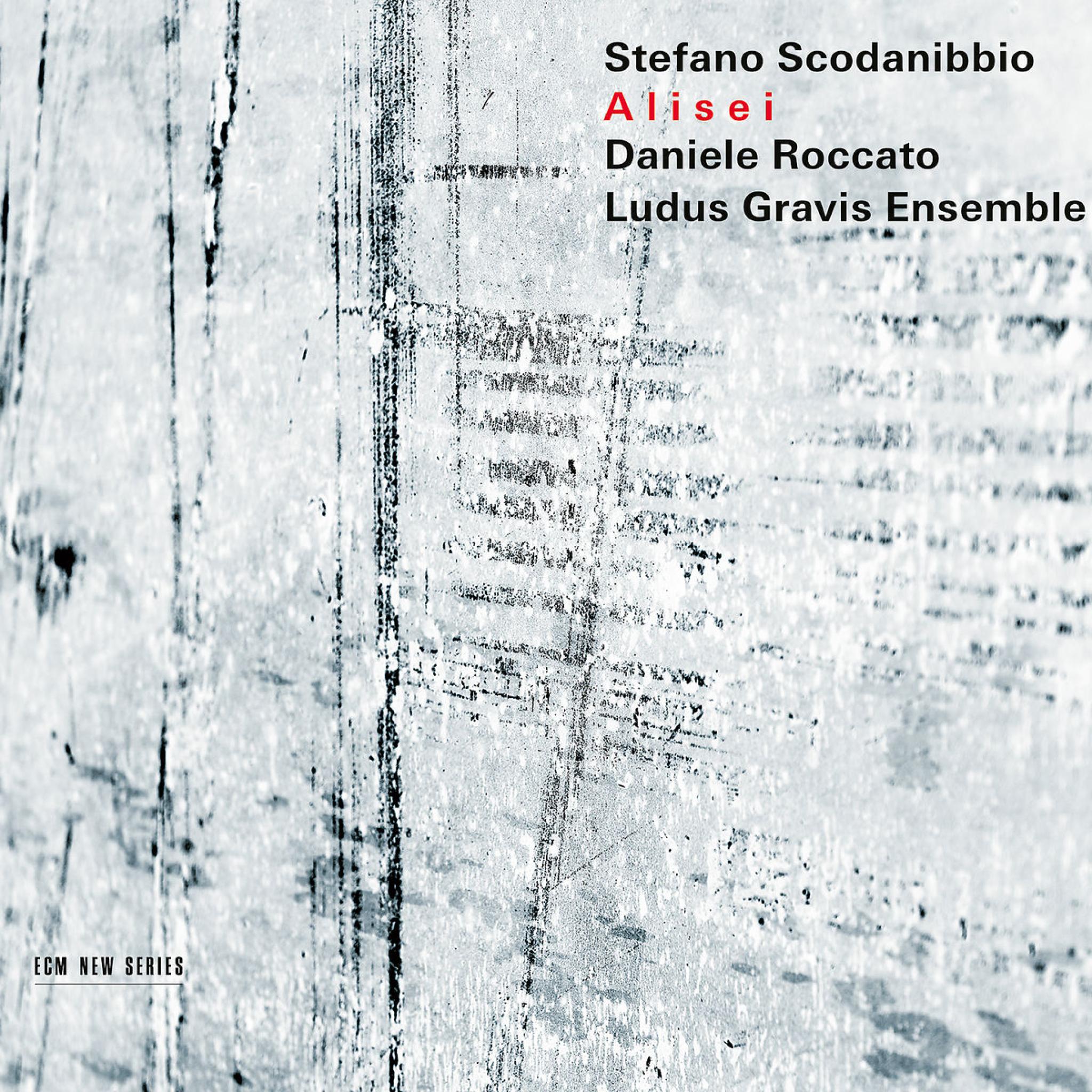 Scodanibbio: Alisei