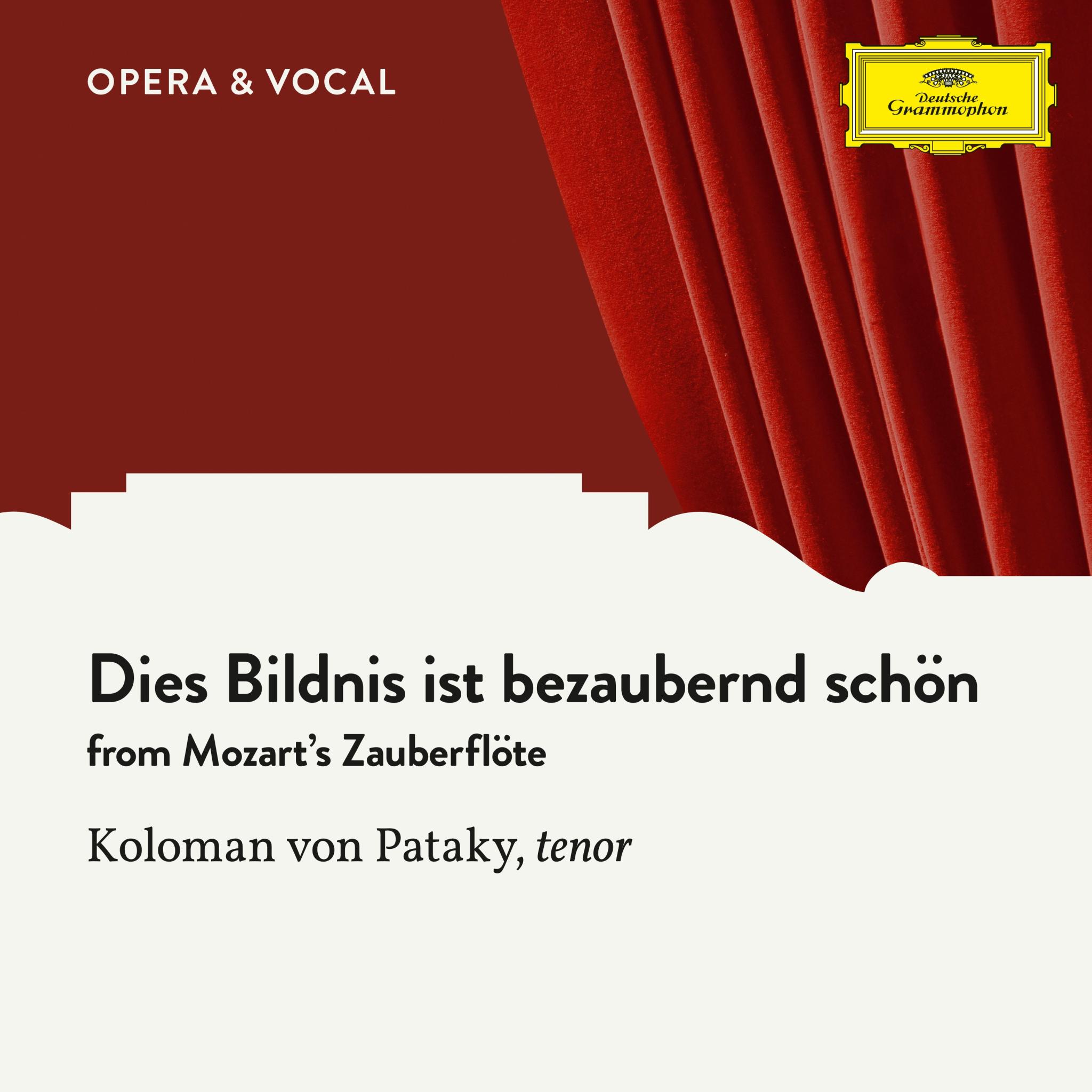Mozart: Dies Bildnis ist bezaubernd schön