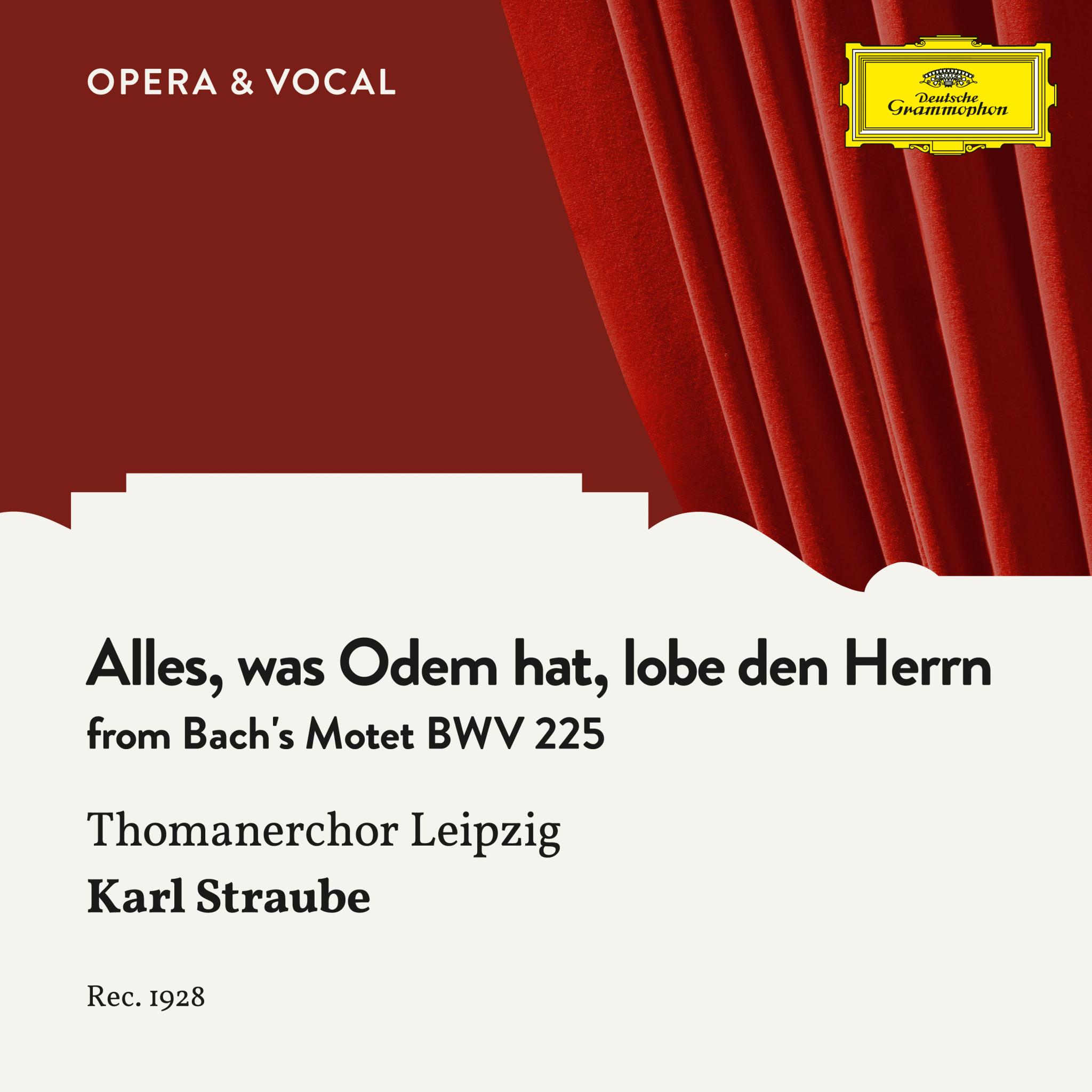Bach: Alles, was Odem hat, lobe den Herrn