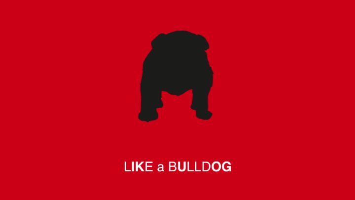 Bulldog