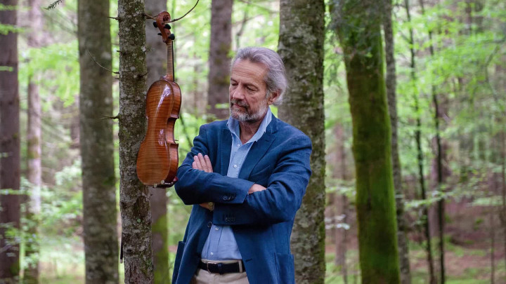Bach: Sonatas & Partitas (Teaser)