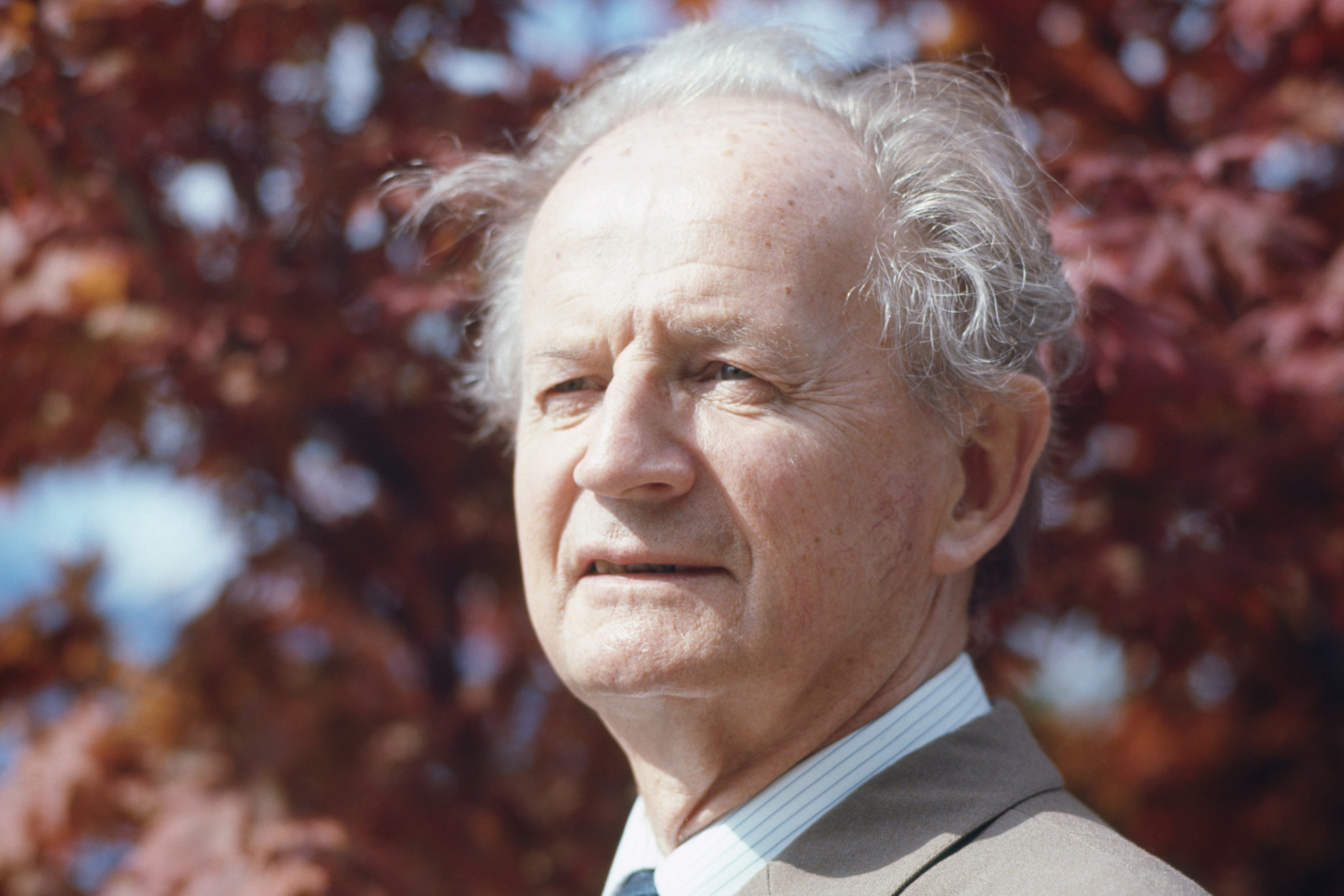 Wilhelm Kempff