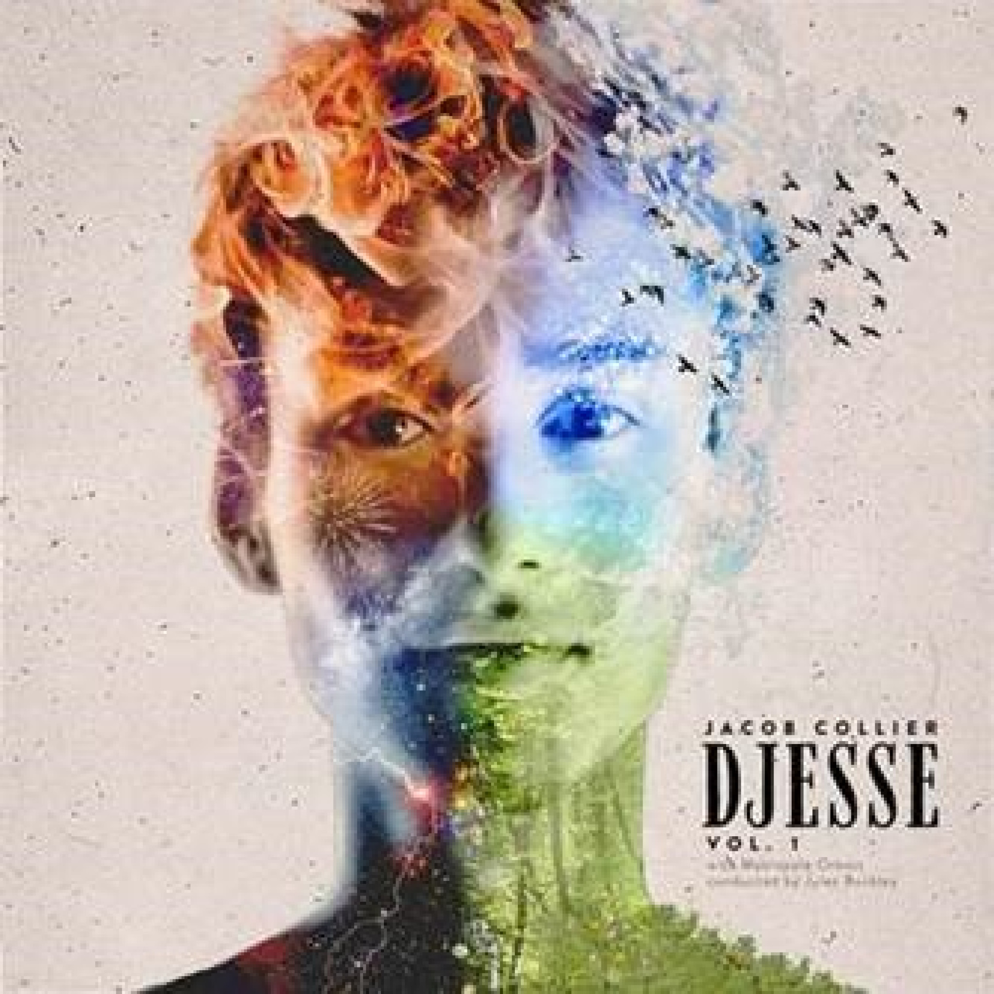 Jacob Collier - Djesse