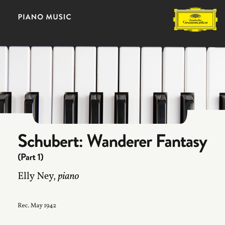 Schubert: Wanderer Fantasy In C, Op. 15: Part I