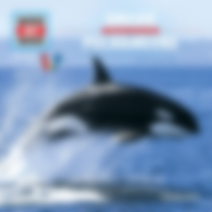 WIW Folge 50: Orcas / Polarmeere NEU