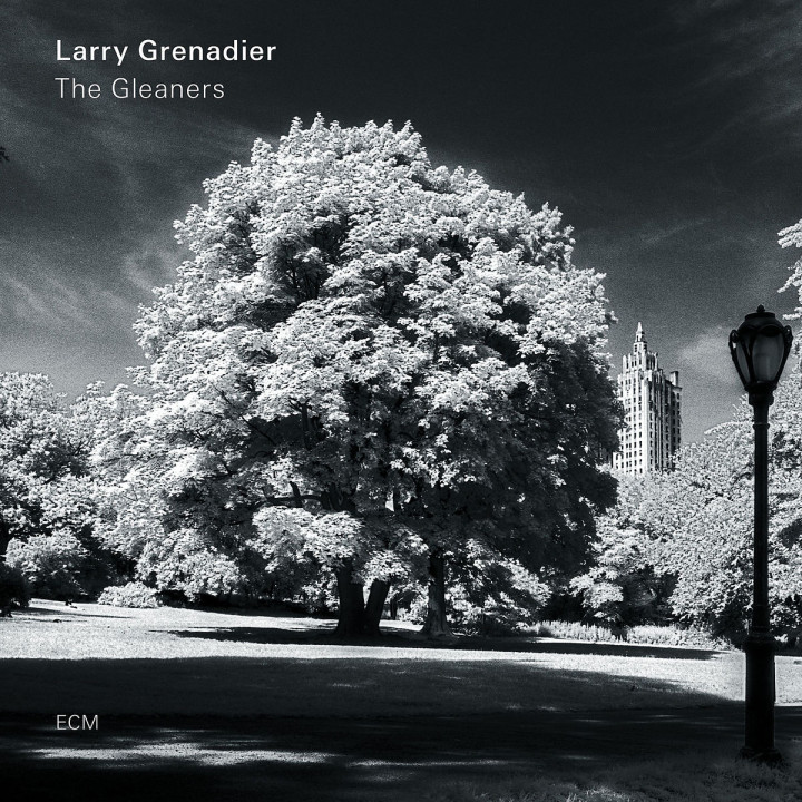 The Gleaners (LP)