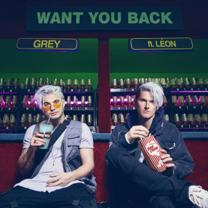Grey_cover