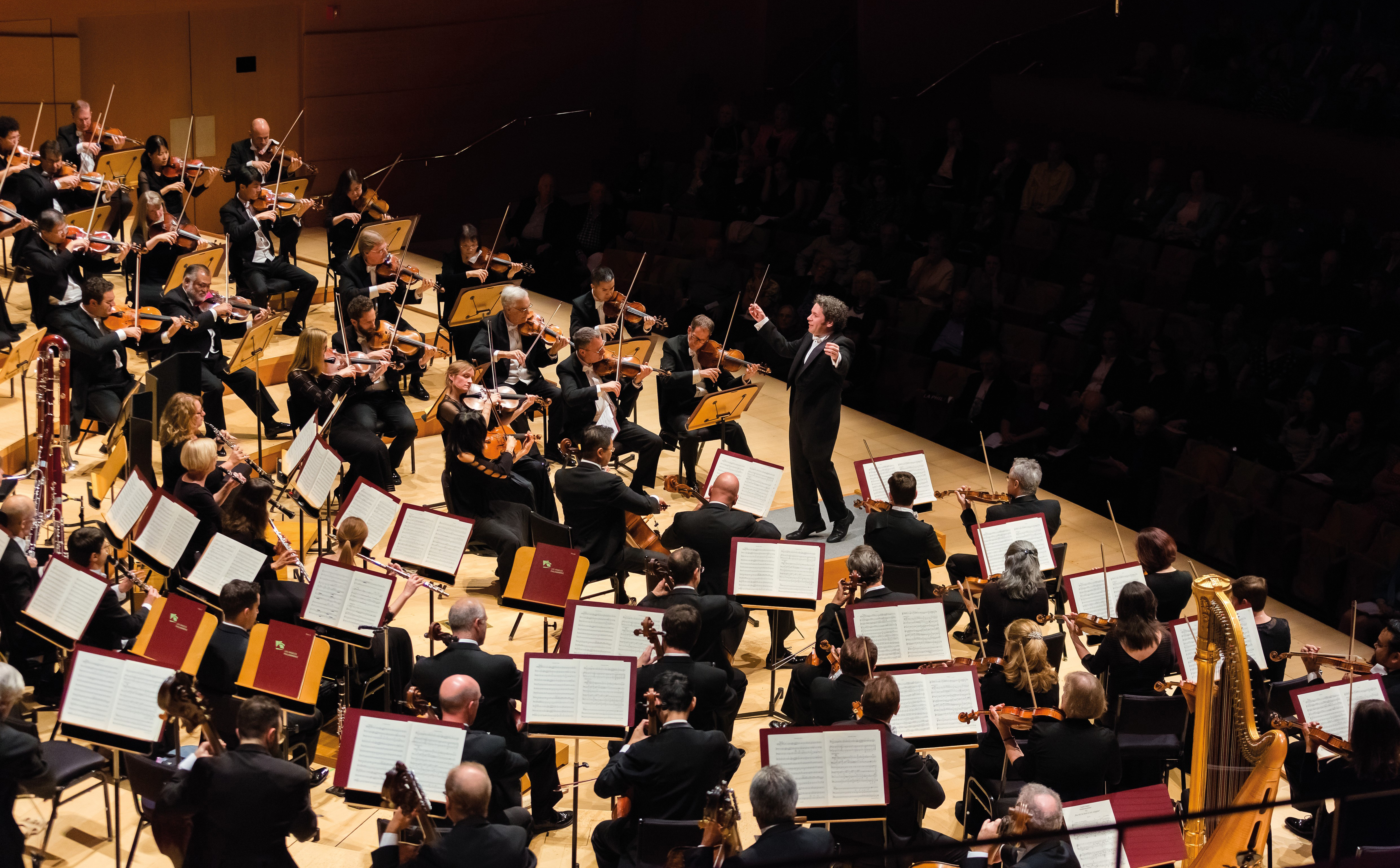 Группа королевский филармонический оркестр. Российский государственный симфонический оркестр кинематографии. Оркестр «ananda loka». Струнный оркестр. Мурманский филармонический оркестр.