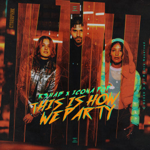 R3hab Icona Pop Cover