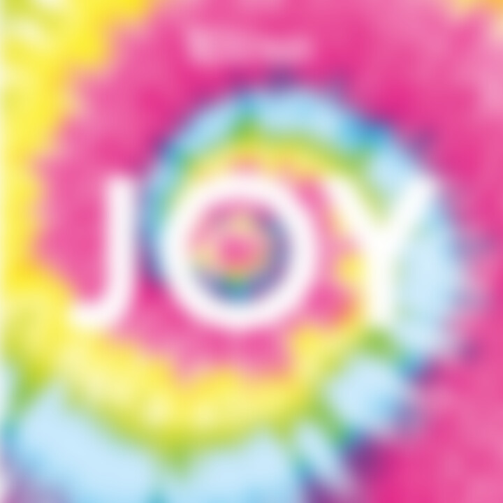 Bastille Joy Cover