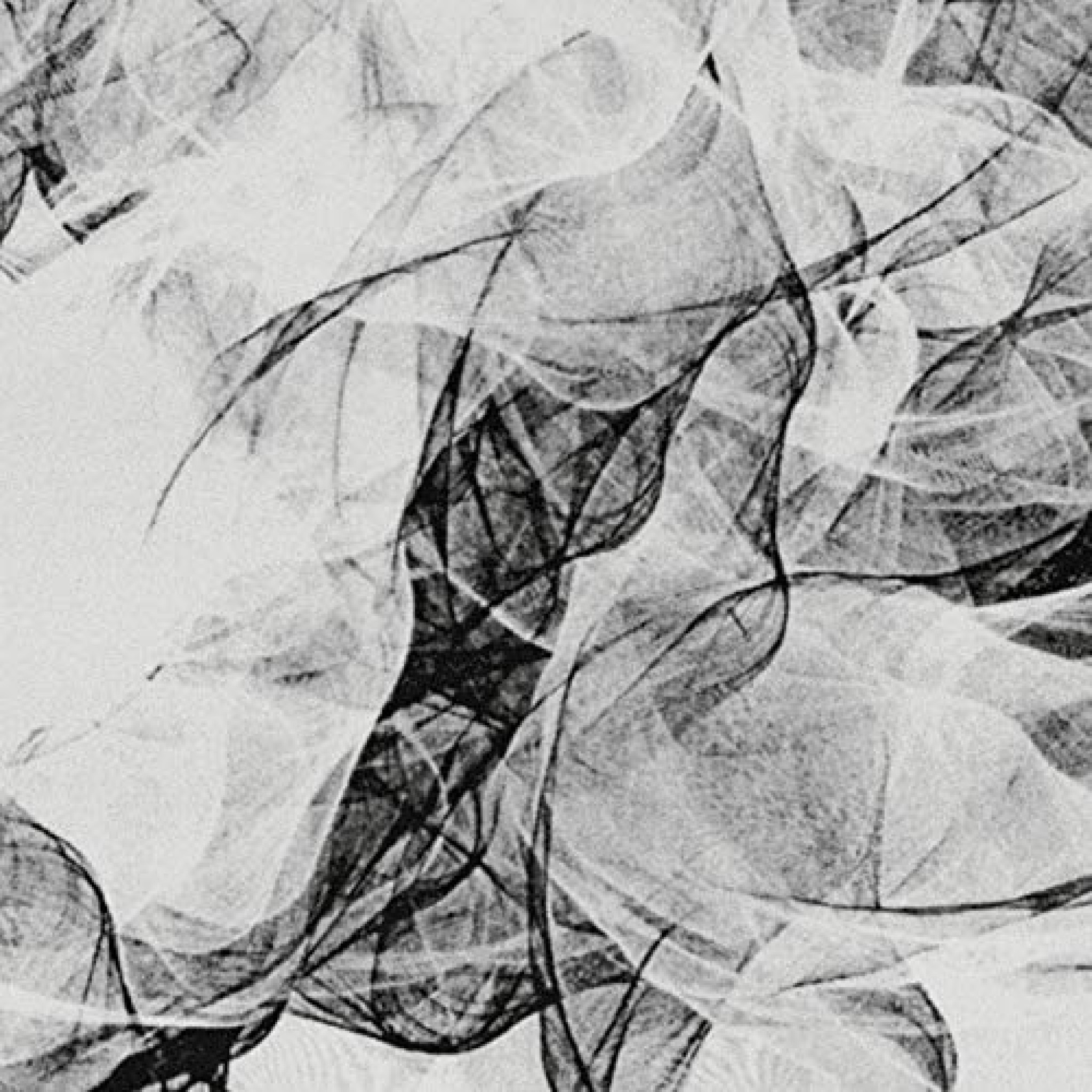 re:member - string quartets