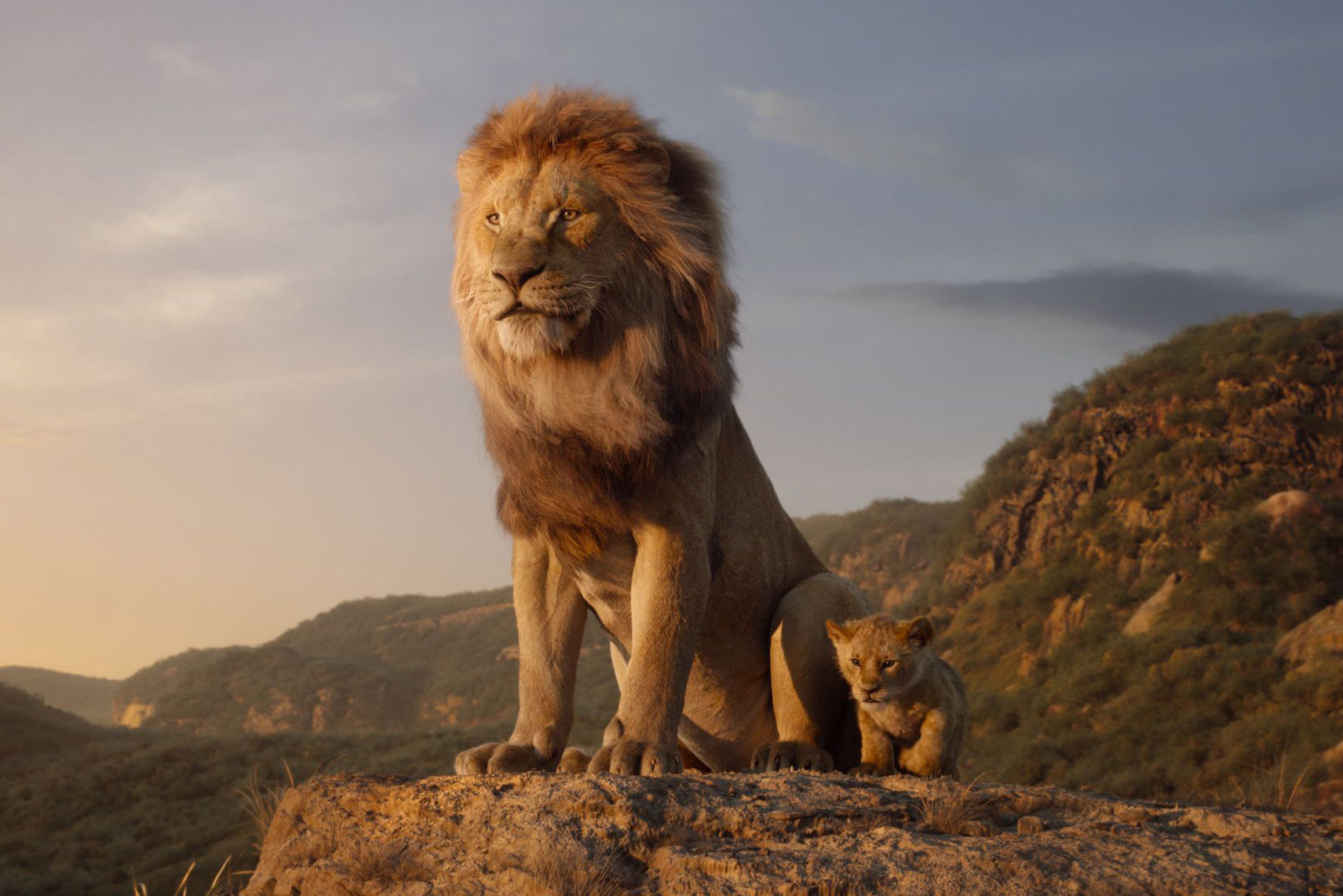 Der König der Löwen Soundtrack News