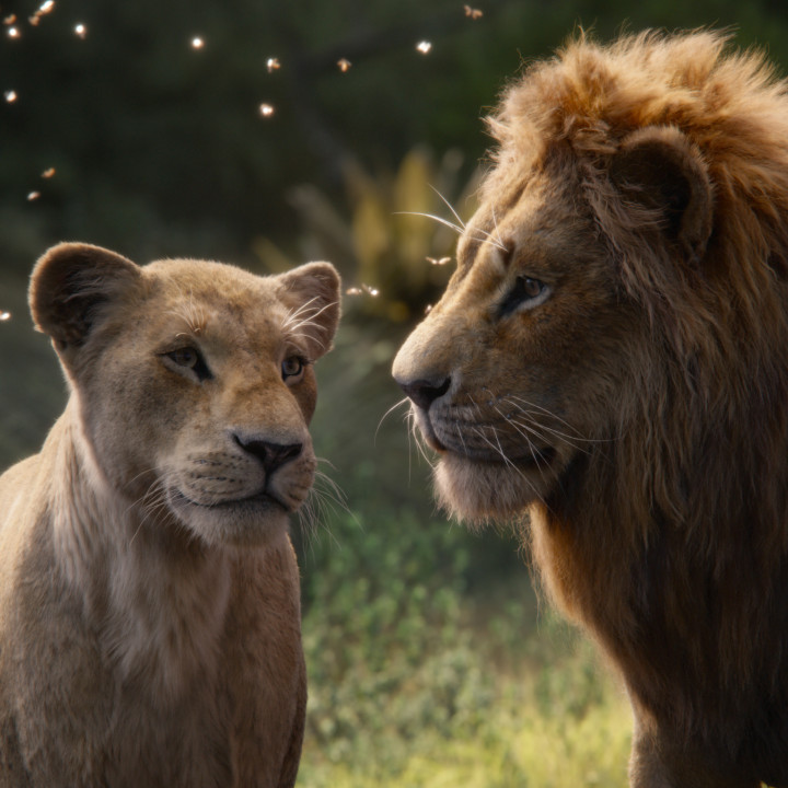 Der König der Löwen – Szenenbild 5