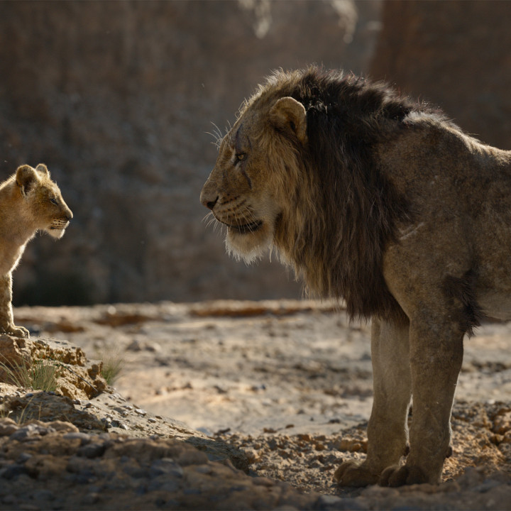 Der König der Löwen – Szenenbild 6
