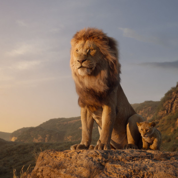 Der König der Löwen – Szenenbild 8