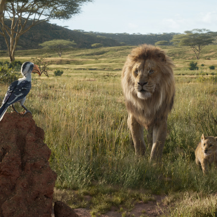 Der König der Löwen – Szenenbild 9